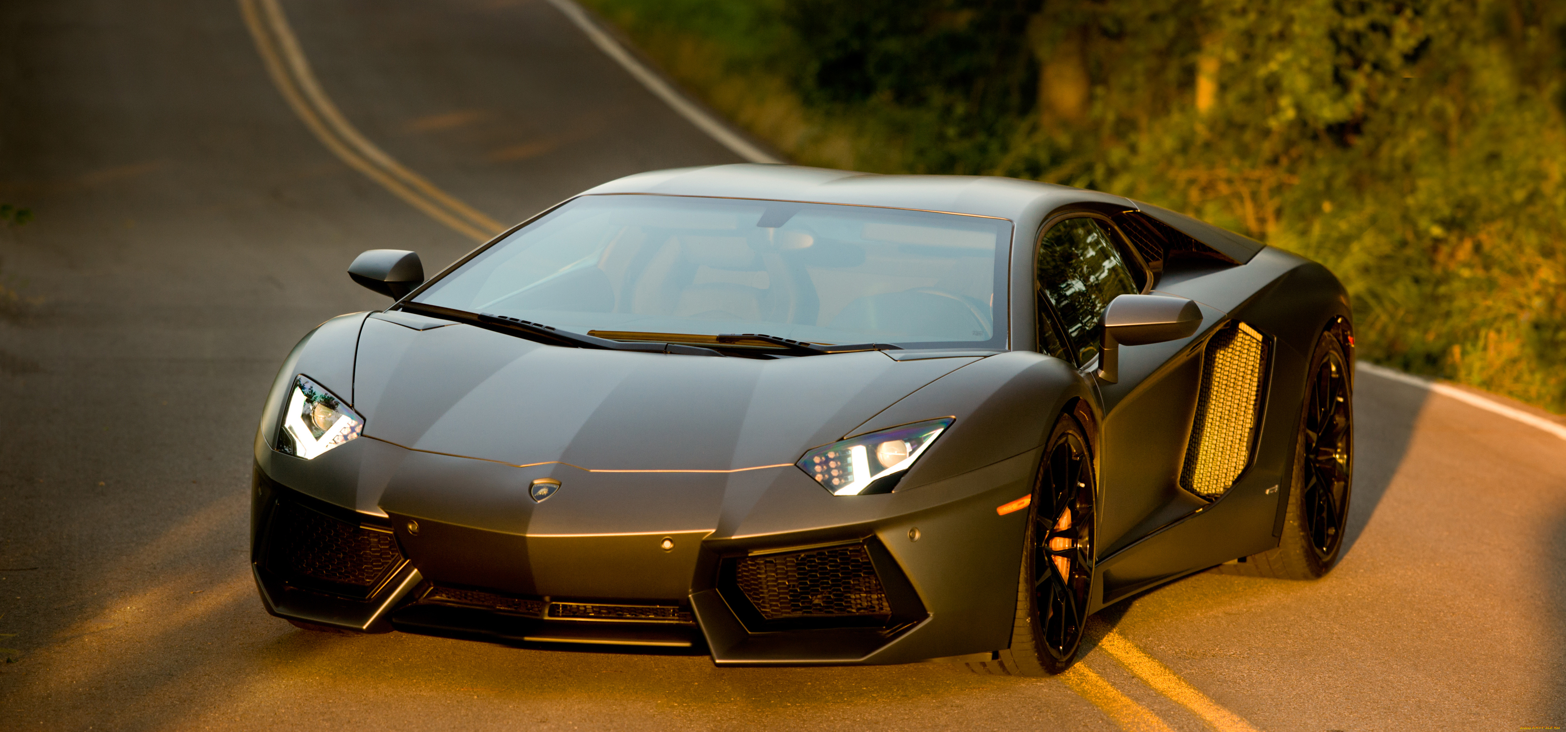 , lamborghini